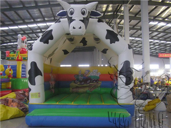 inflatable bouncer (6)