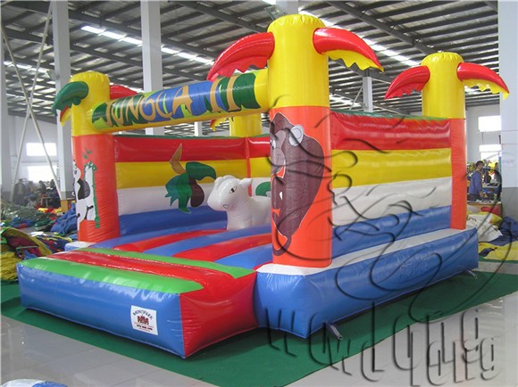 inflatable bouncer (11)