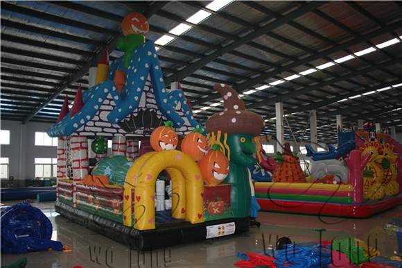 inflatable bouncer(1)