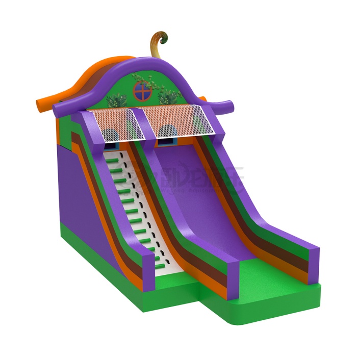 Whimsical Double Inflatable Slide