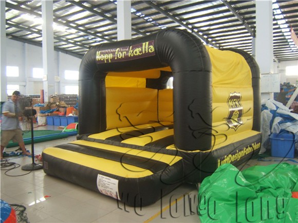 inflatable bouncer (16)