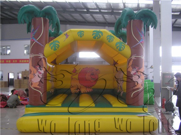 inflatable bouncer (10)