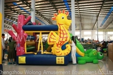 Hippocampi Bounce