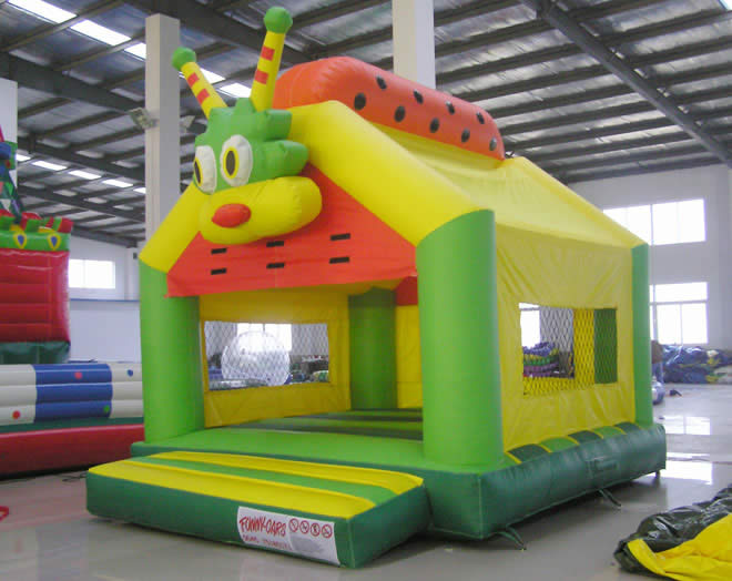 Snail Bounce
