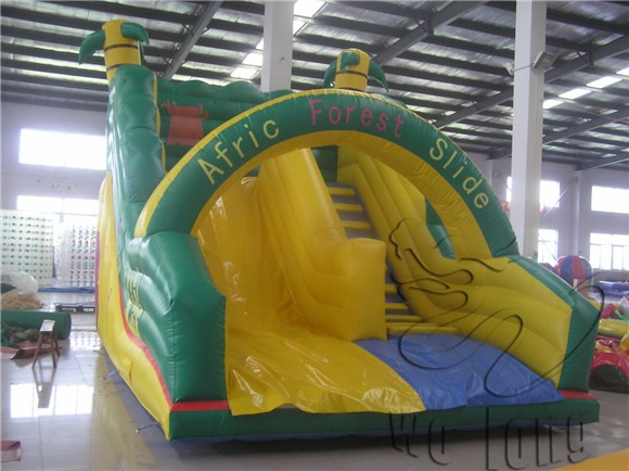 Afric Forest Slide