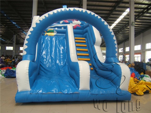 Cetacean Slide