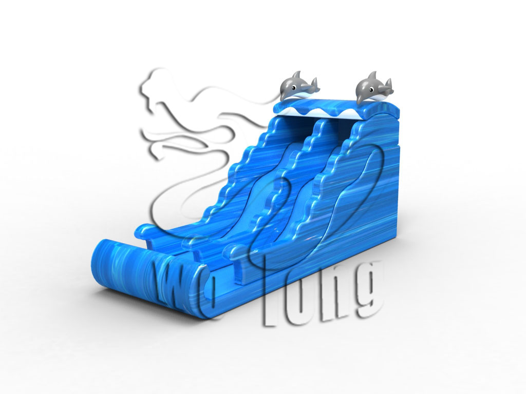 Dolphin surfing slide