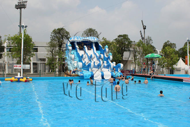 Surfing water slide